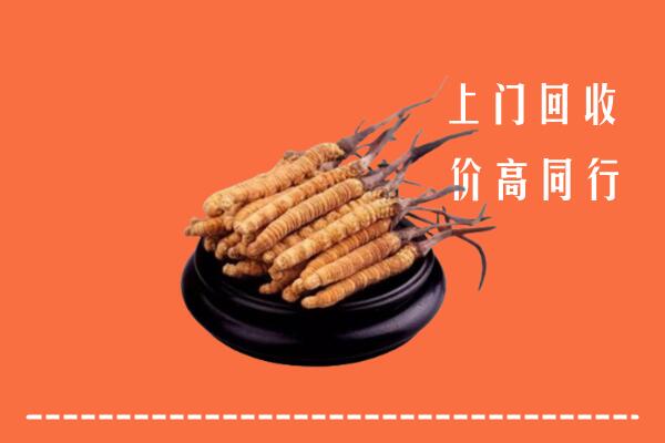 高价求购：古冶区回收散虫草