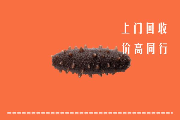 高价求购：古冶区回收海参