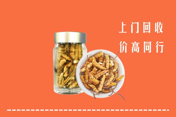 古冶区回收冬虫夏草
